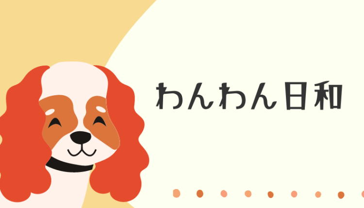 カワイイがいっぱい！ワンダーランド